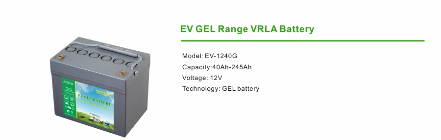 12V 200ah Deep Cycle Motive Power Electric Vehicle Battery 6-Evf-100