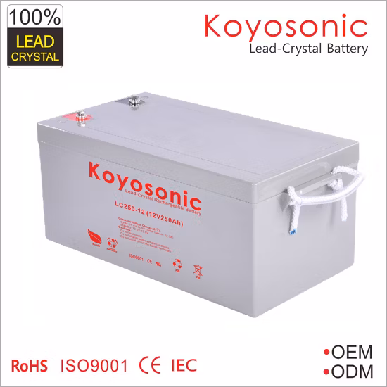 OEM 12 V 260 Ah Motive Power Akku Gel-Akku Rasenmäher-Akku