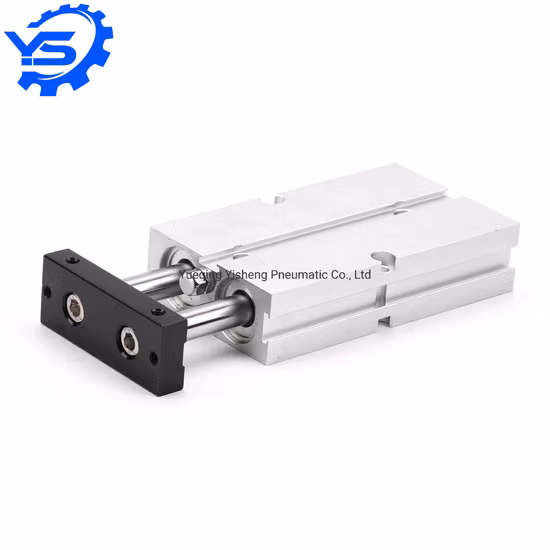 Tn-Serie Doppelwellen-Doppelstangen-Gleitlager-Luftzylinder Doppelstangen-Pneumatikzylinder mit Magnet