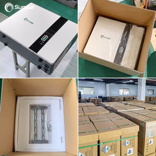 Sunpal 48V 100ah 200ah Power Wall LiFePO4 Lihium-Batterie