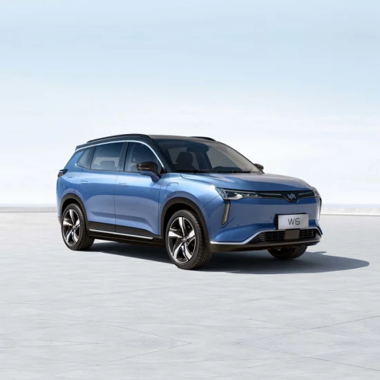 In China hergestelltes Elektro-SUV Weltmeister Wm W6 Nedc 520 km 620 km Grünes EV-Auto 4X2 New Energy Vehicle mit ternärer Lithiumbatterie Gebrauchtwagen