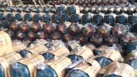 Yl-Serie, 2900 U/min, 3,7 kW, Tmax/Tn 1,7 50 (60 Hz), einphasiger Asynchronmotor mit zweiwertigem Kondensator